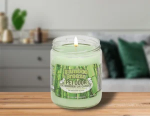 Read more about the article Best Pet Odor Exterminator Candle in 2024